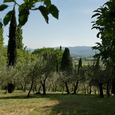 Villa Degli Ulivi 阿西西 外观 照片