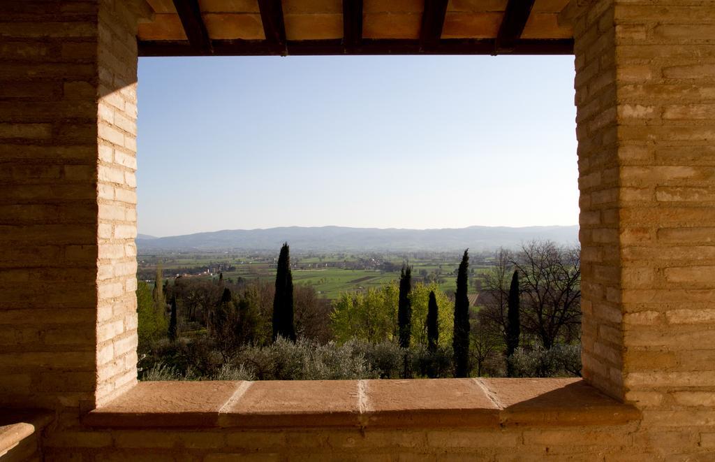 Villa Degli Ulivi 阿西西 外观 照片