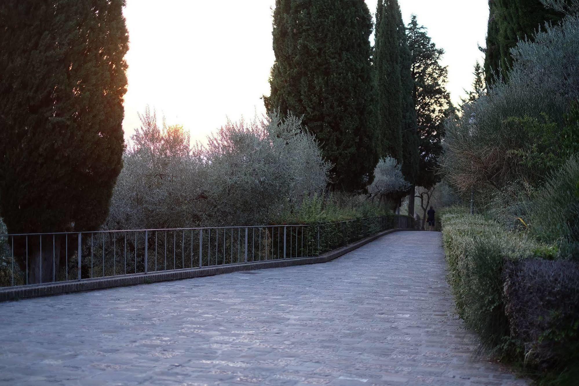 Villa Degli Ulivi 阿西西 外观 照片